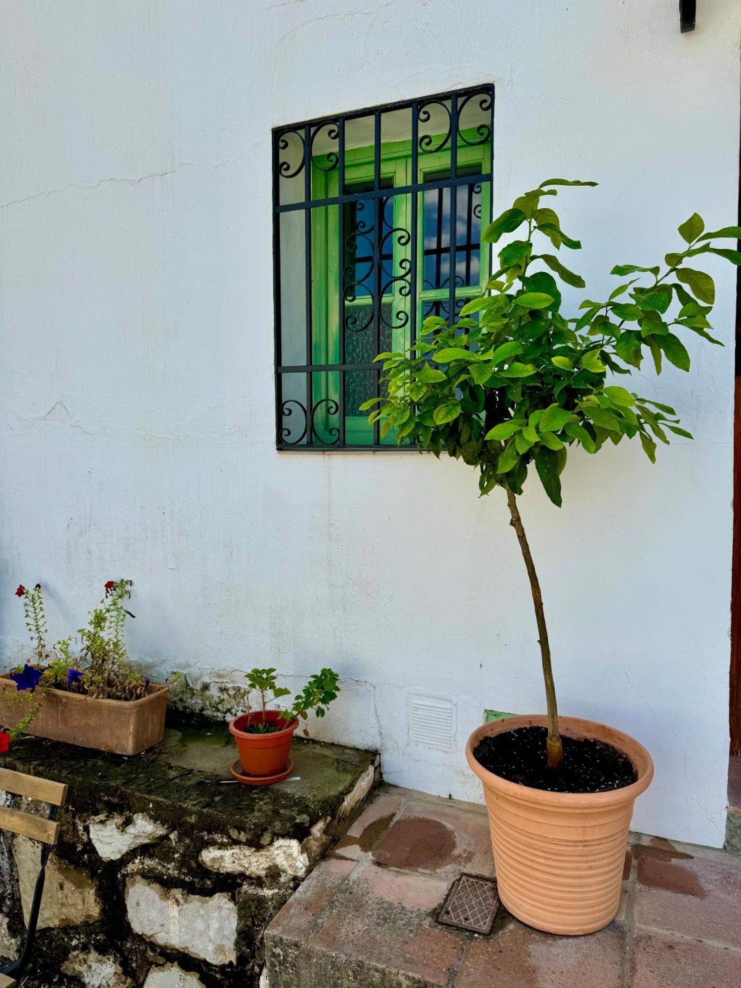 Casa Leon Villa Montejaque Dış mekan fotoğraf